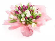 bouquet of tulips Tulipe